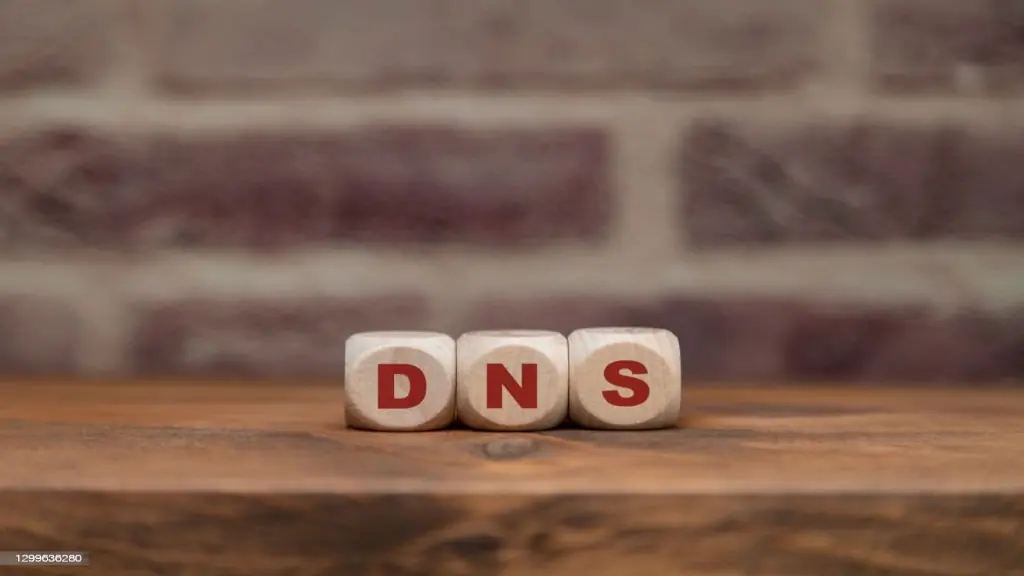 DSNWood , Que es DNS